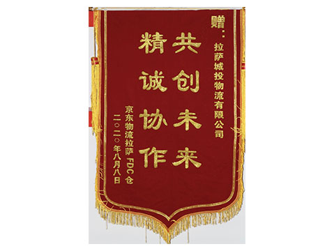 2020年 京东物流拉萨FDC 仓 